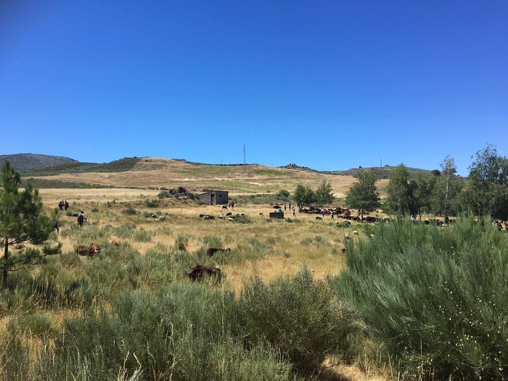 Casas Do Soito Seia